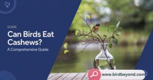 Can birds eat cashews? A guide for bird owners on safe cashew consumption for various bird species.