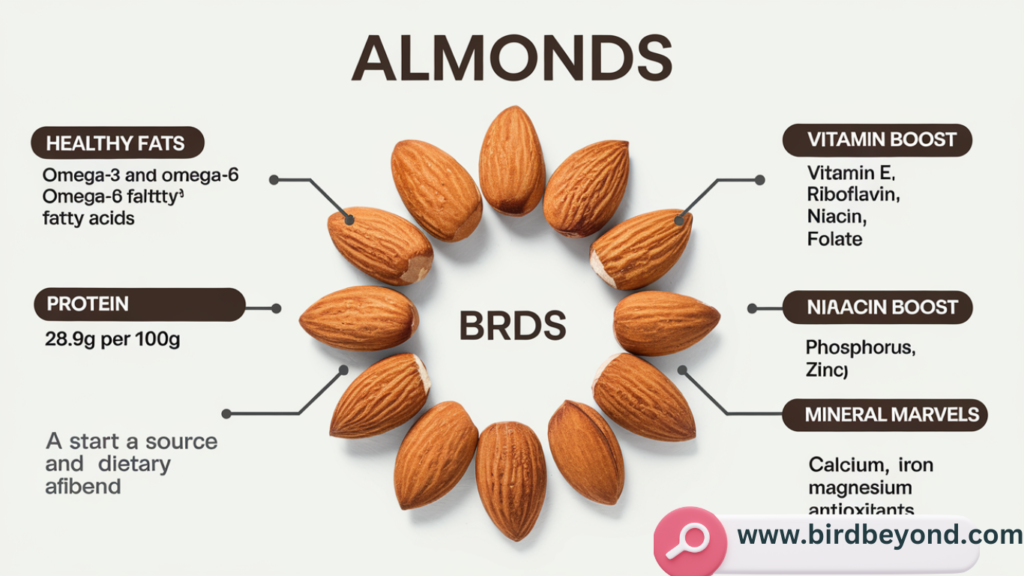 Almonds on a wooden surface, showcasing their rich nutritional benefits for birds, including healthy fats, protein, and vitamins.