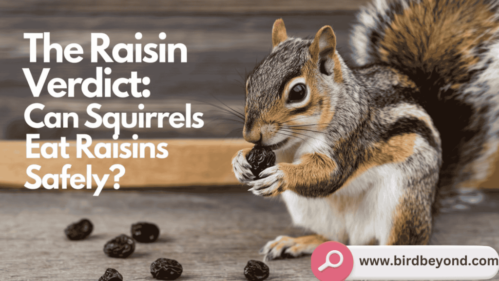 A squirrel nibbling on a raisin with a backdrop of various nuts and fruits, illustrating the question of whether raisins are safe for squirrels.