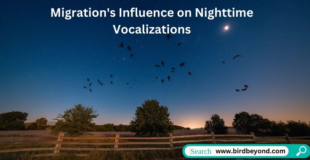 A migrating bird calling out during the night, symbolizing the influence of migration on nighttime vocalizations and its cultural significance worldwide.